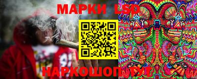 apvp Кунгур