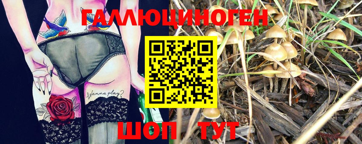 Канаш  Галлюциногенные грибы MAGIC MUSHROOMS  купить  цена  Вход с VPN 